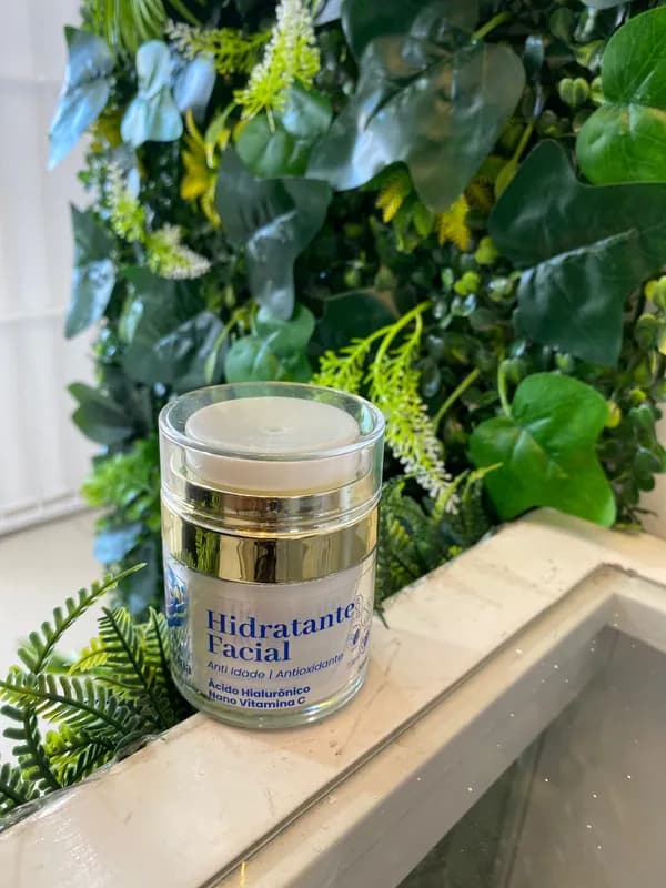 Hidratante Facial Antioxidante Anti-idade